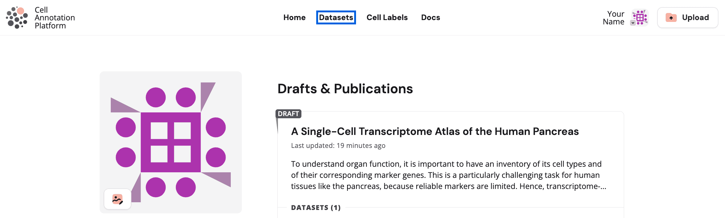 Top of the profile page with datasets highlighted