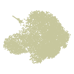 Level_2 plot preview