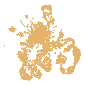 Class plot preview