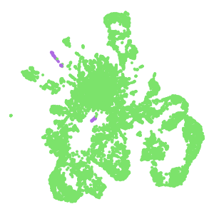 Class plot preview