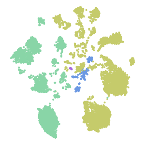 Neighborhood plot preview