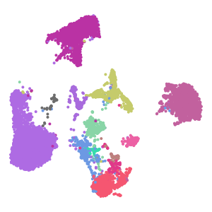 author_cell_type plot preview